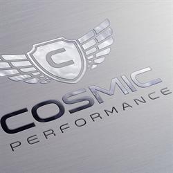 Cosmic Performance