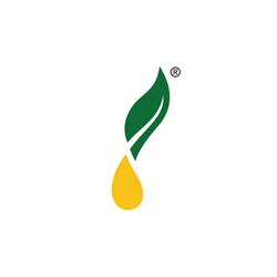 Young Living Essential Oils Australia
