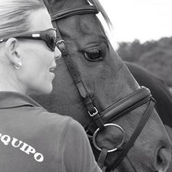 Terrey Hills Riding School