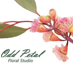 Odd Petal Florist @ Crows Nest