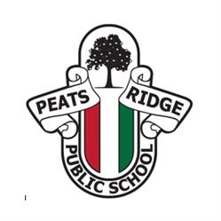 Schools Public