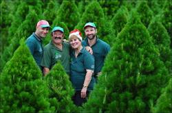 Melbourne Christmas Tree Farm