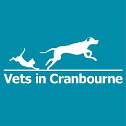 Vets in Cranbourne