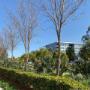 Bella Vista Buisiness Park