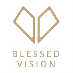Blessed Vision Photography
