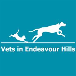 Vets in Endeavour Hills