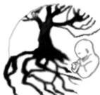 Counselling Somatic