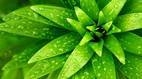 InnerLife Counselling & Psychology