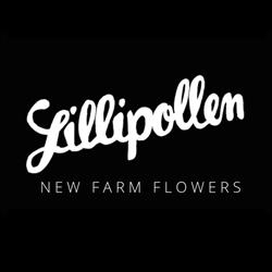 Lillipollen