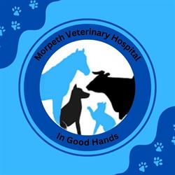 Morpeth Veterinary Hospital