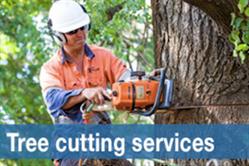 Tree Craft NSW