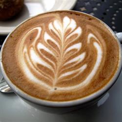 Palm Beach Café
