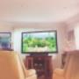 65 " PANASONIC dtv Free foxtel/netflix