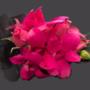 Corsages