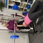 Linda training a client