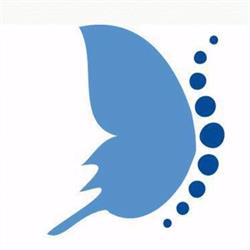 Christine Tully Chiropractic