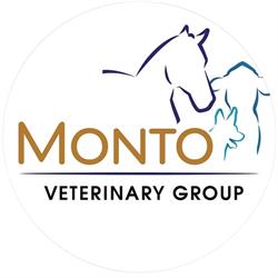 Monto Veterinary Group