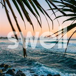 Swell Resort