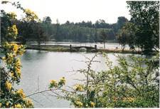 Creswick Calembeen Lake Caravan Park