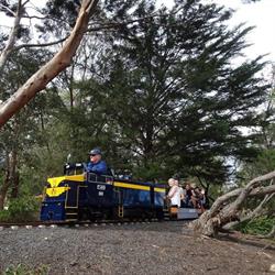 Box Hill Miniature Steam Railway Society
