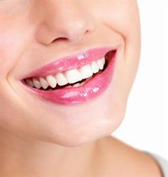 The Dental Touch