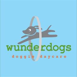 wunderdogs doggie daycare