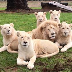 Altina Wildlife Park