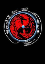Wu Xing Dao Kung Fu - MMA Central Coast