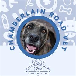 Chamberlain Road Veterinary Clinic