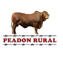 Peadon Rural