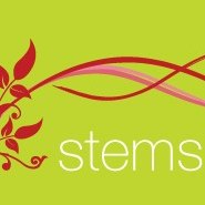 Stems with Style Florist