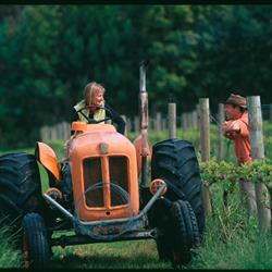 Oranje Tractor Wine
