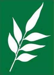 Tallow Tree Services