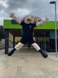 Mulwaree High School