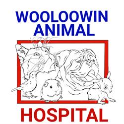 Wooloowin Animal Hospital