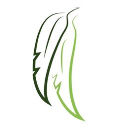 Ferguson Street Osteopathy