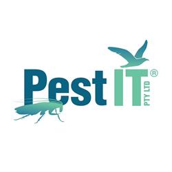 Pest IT