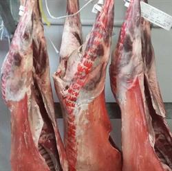 Woolgoolga's Finest Butcher