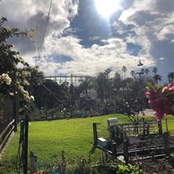 Veg Out Community Gardens St Kilda