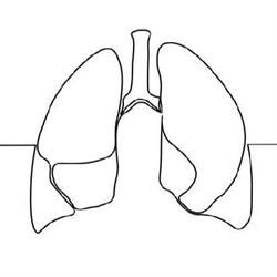 Respiratory SA