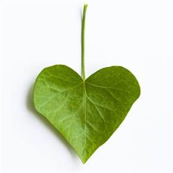 Love & Tonic