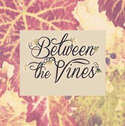 Between the Vines Cellar Door