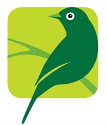 Silvereye Learning Resources