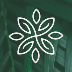 Holistic Chinese Massage Therapy