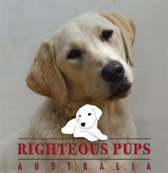 Righteous Pups