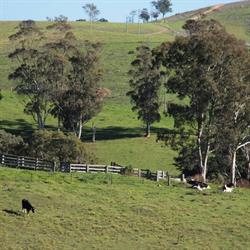 Sapphire Coast Medical Practice Bega & Tathra