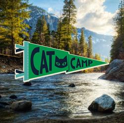 Cat Camp Cattery