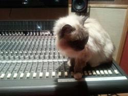 MCS Recording Studio