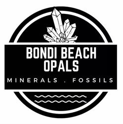Bondi Beach Opals, Fossils And Minerals