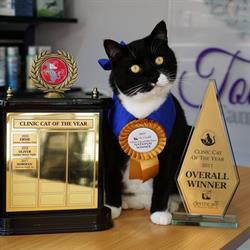 Toowong Family Vet